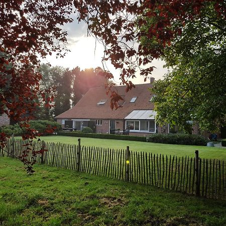 B&B Bergenhof Hoogstraten Extérieur photo